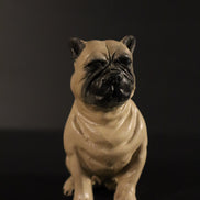 Bulldog per figure da 38cm