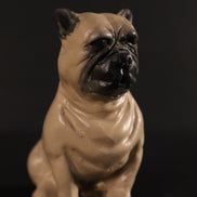 Bulldog per figure da 38cm
