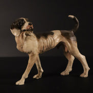 Cane per nobili per figiure da 38cm