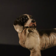 Cane per nobili per figiure da 38cm
