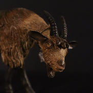 Capra per figure da 38cm