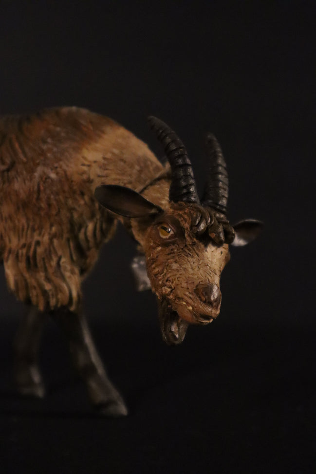 Capra per figure da 38cm