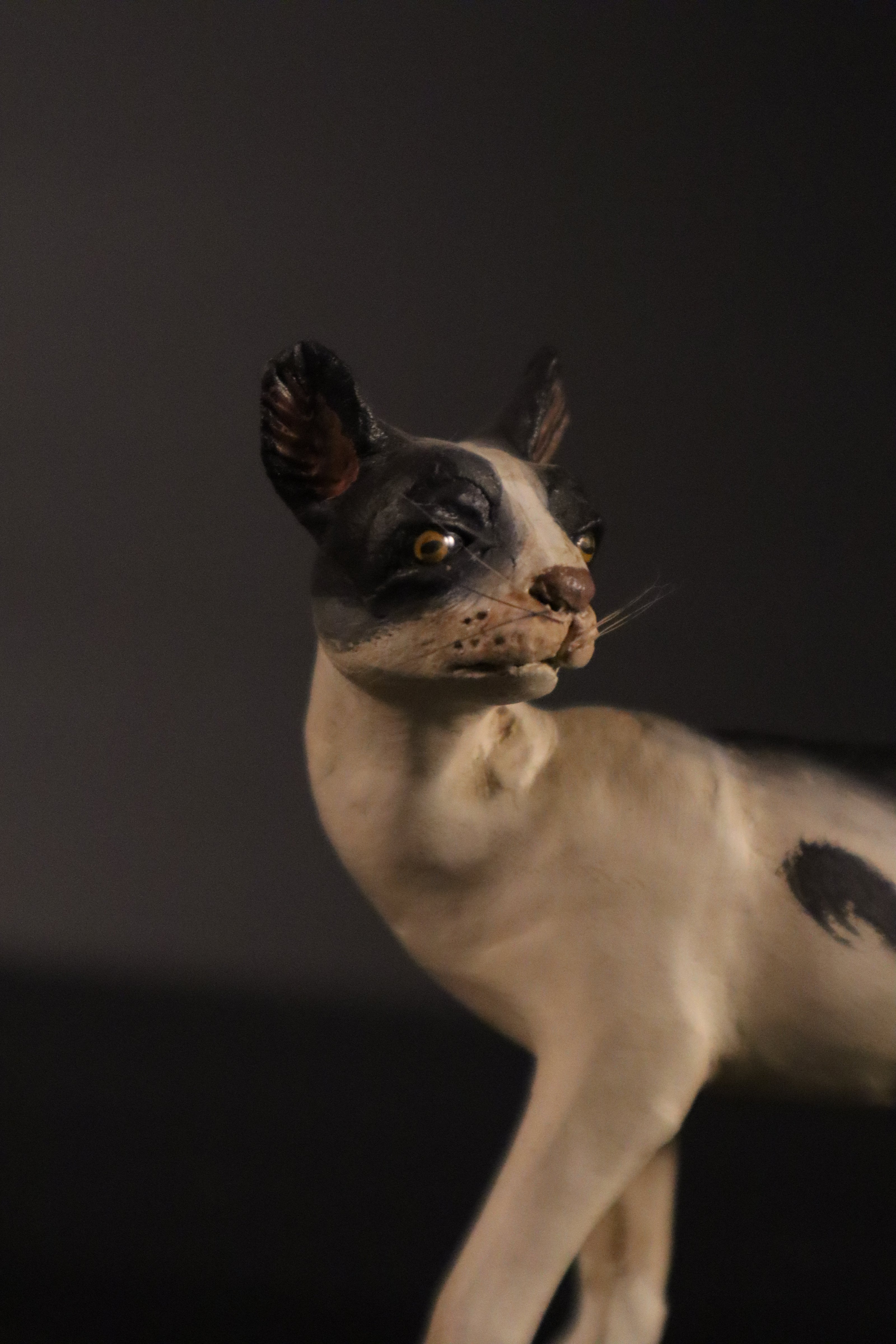 Gatto in piedi per figure da 38cm