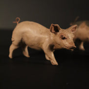 Maialini per figure da 38