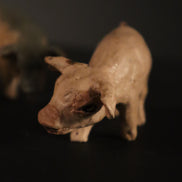 Maialini per figure da 38