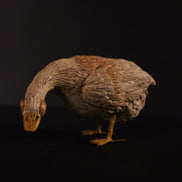oca beccante per figure da 38cm