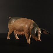 Scrofa per figure 38 cm